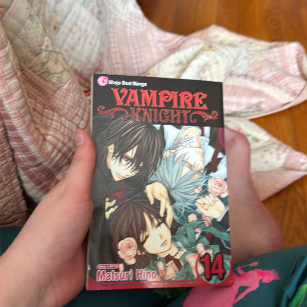 Vampire Knight, Vol. 14