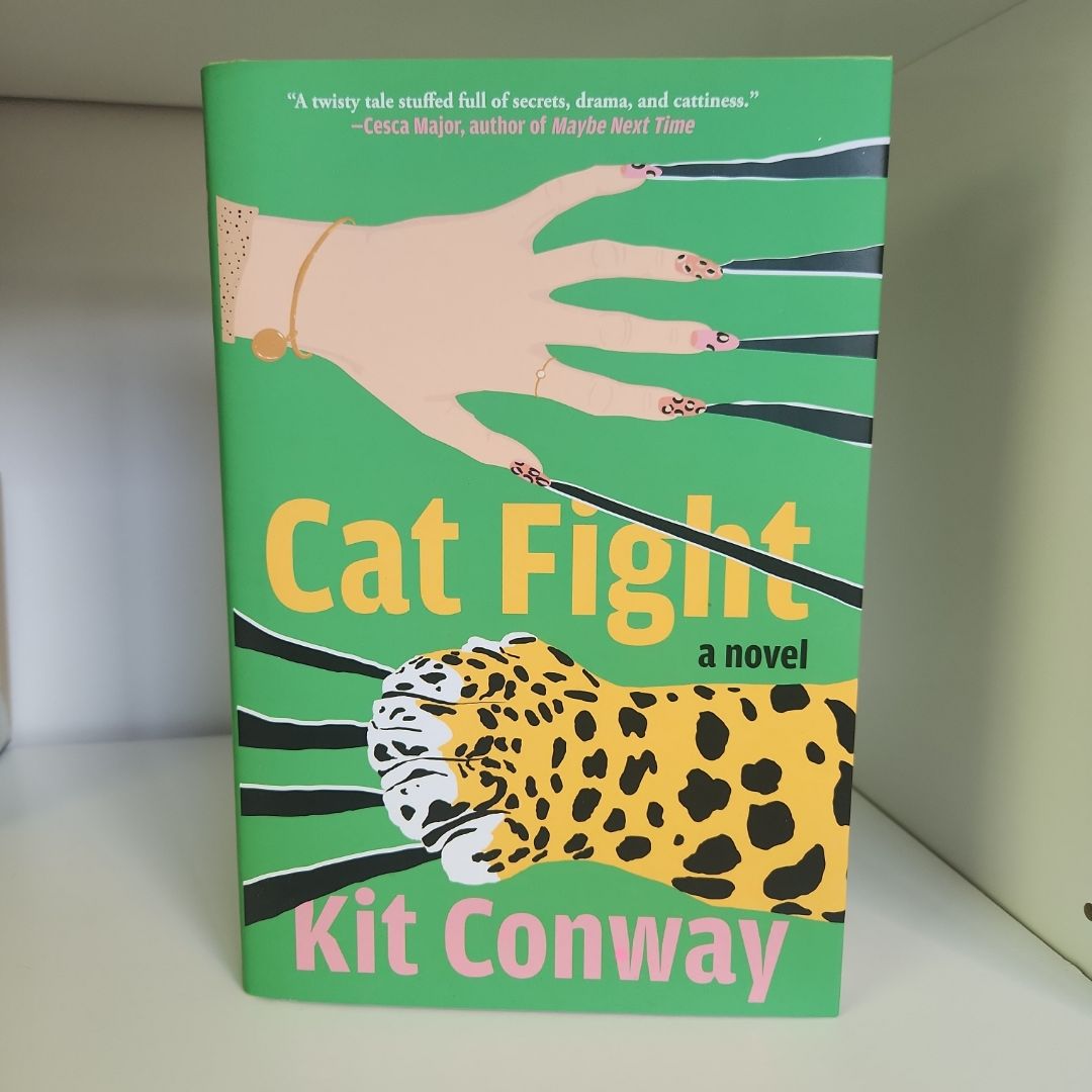 Cat Fight