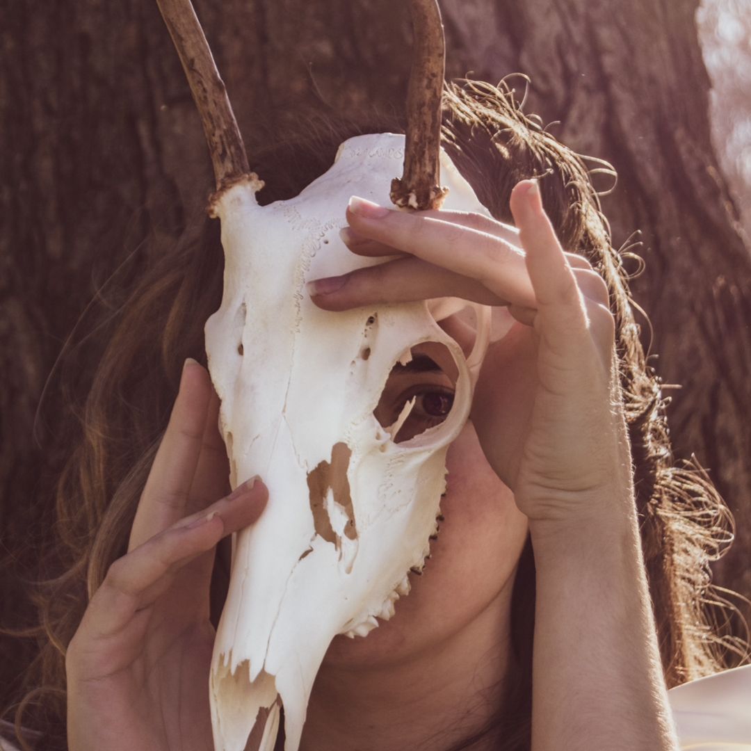 The Gilded Crow 🪶