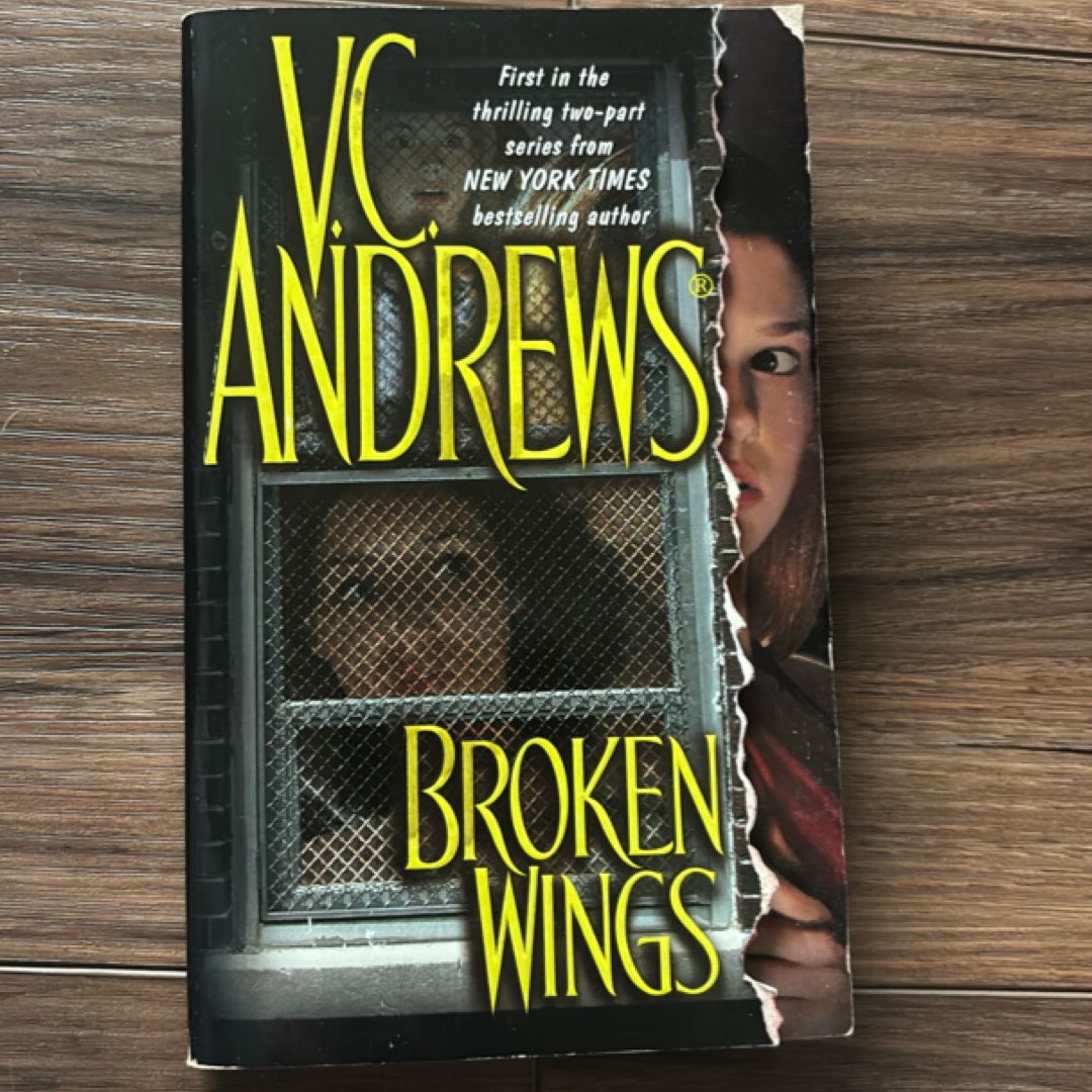 Broken Wings