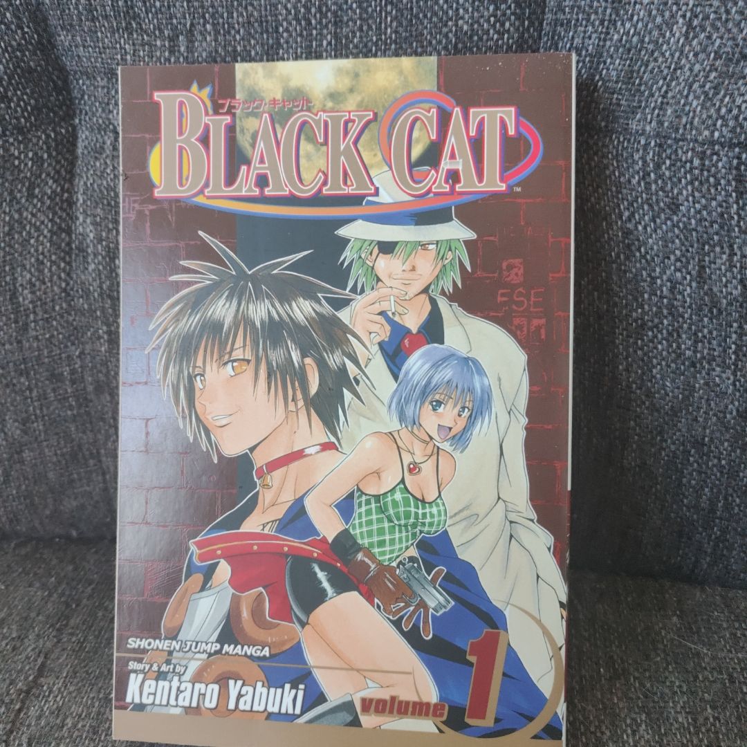 Black Cat, Vol. 1