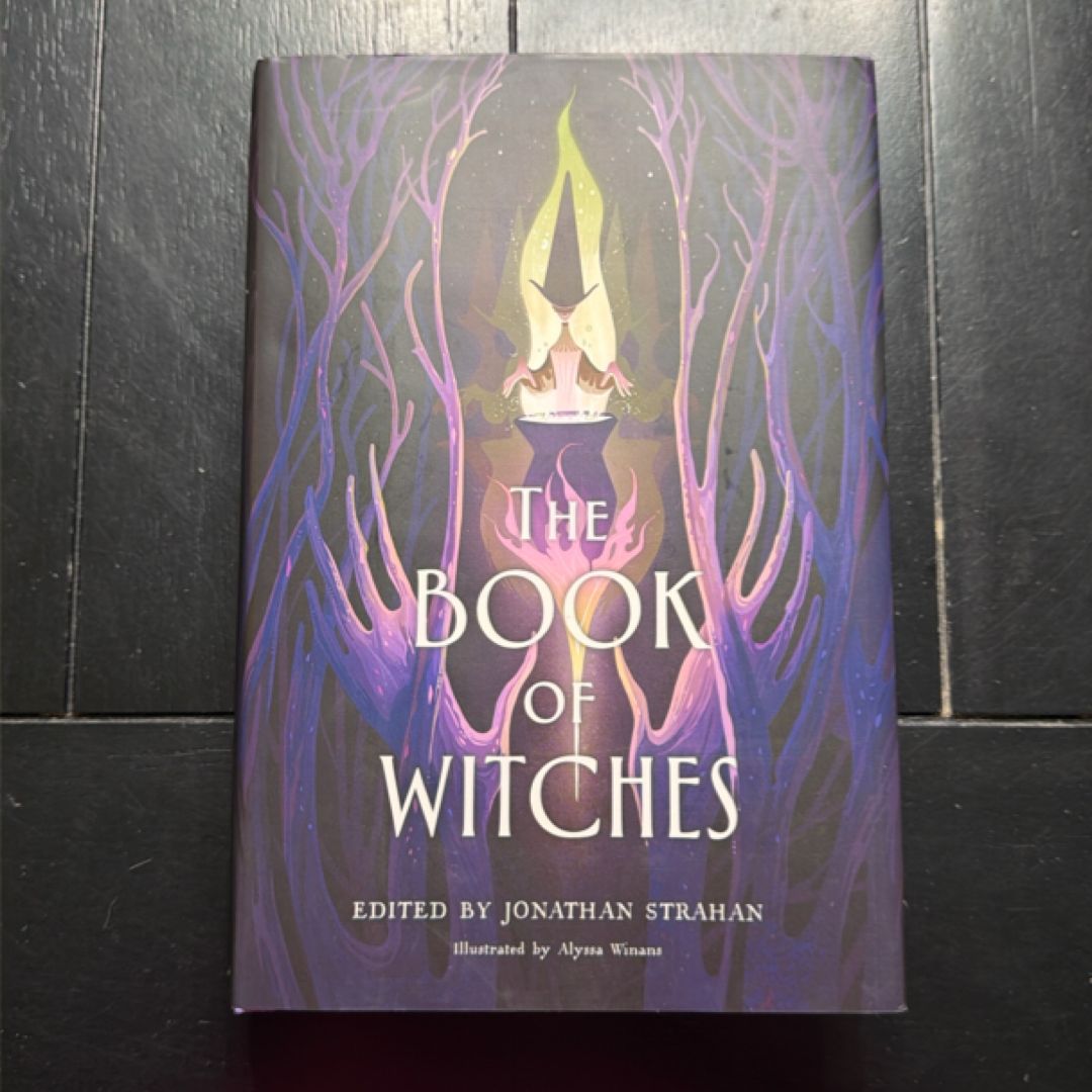 The Book of Witches