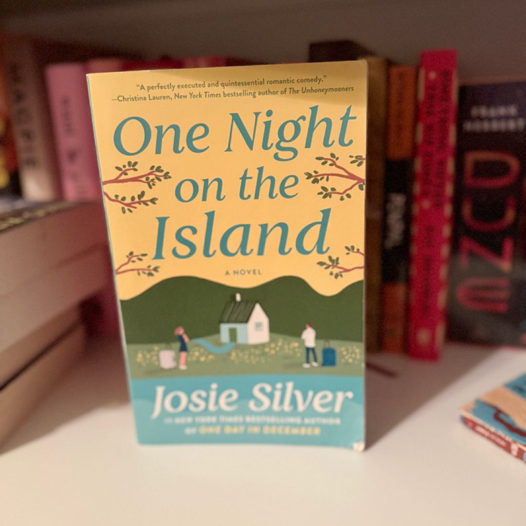 One Night on the Island