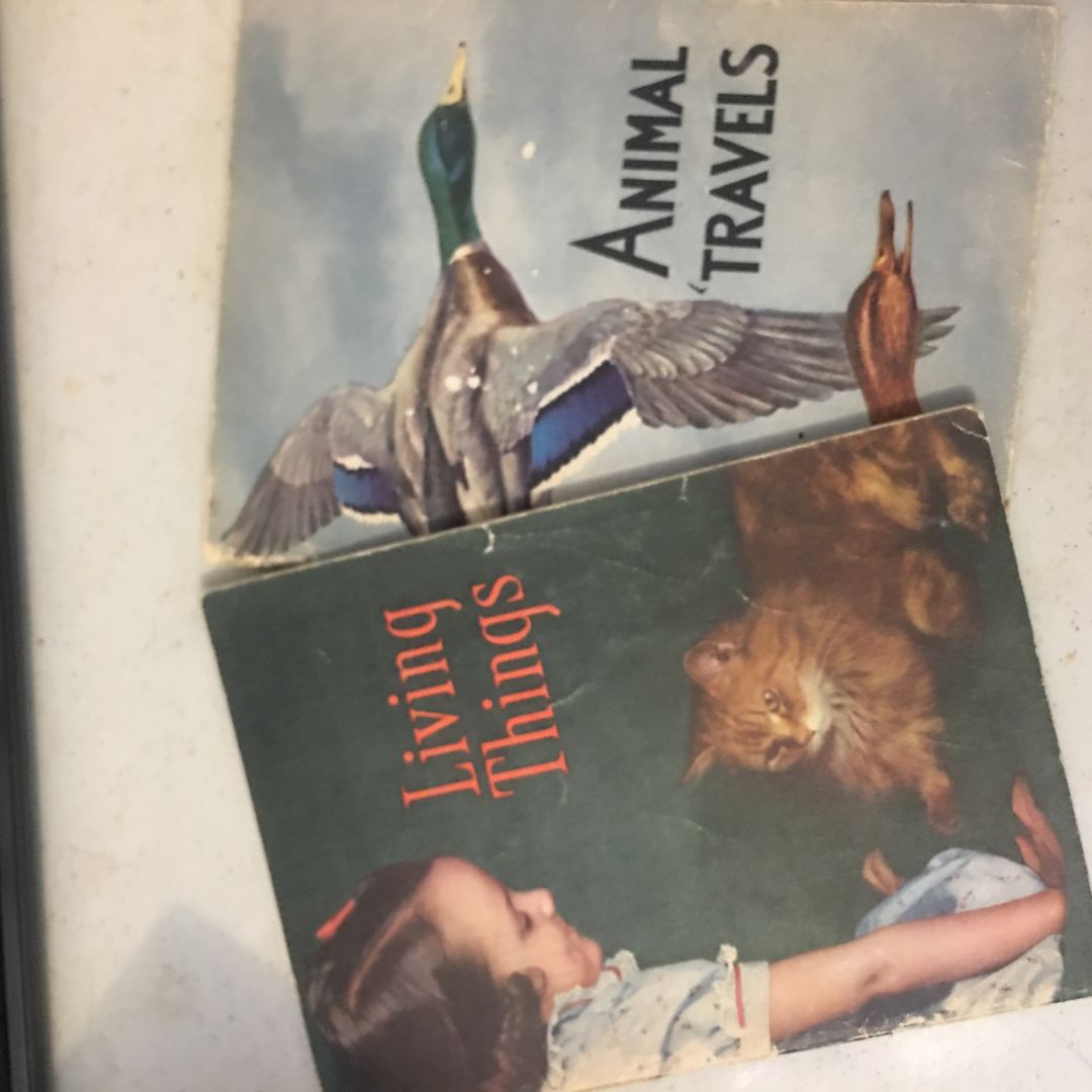 Vintage Paperback 1941