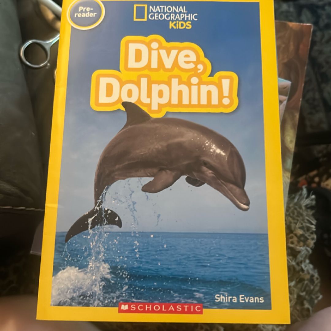 Dive, Dolphin!