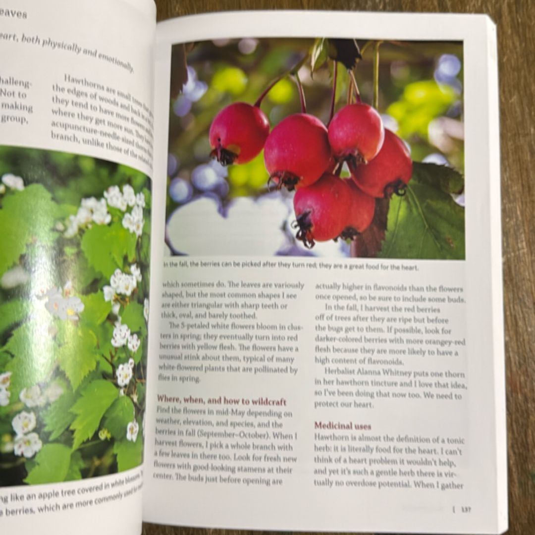 Southeast Medicinal Plants