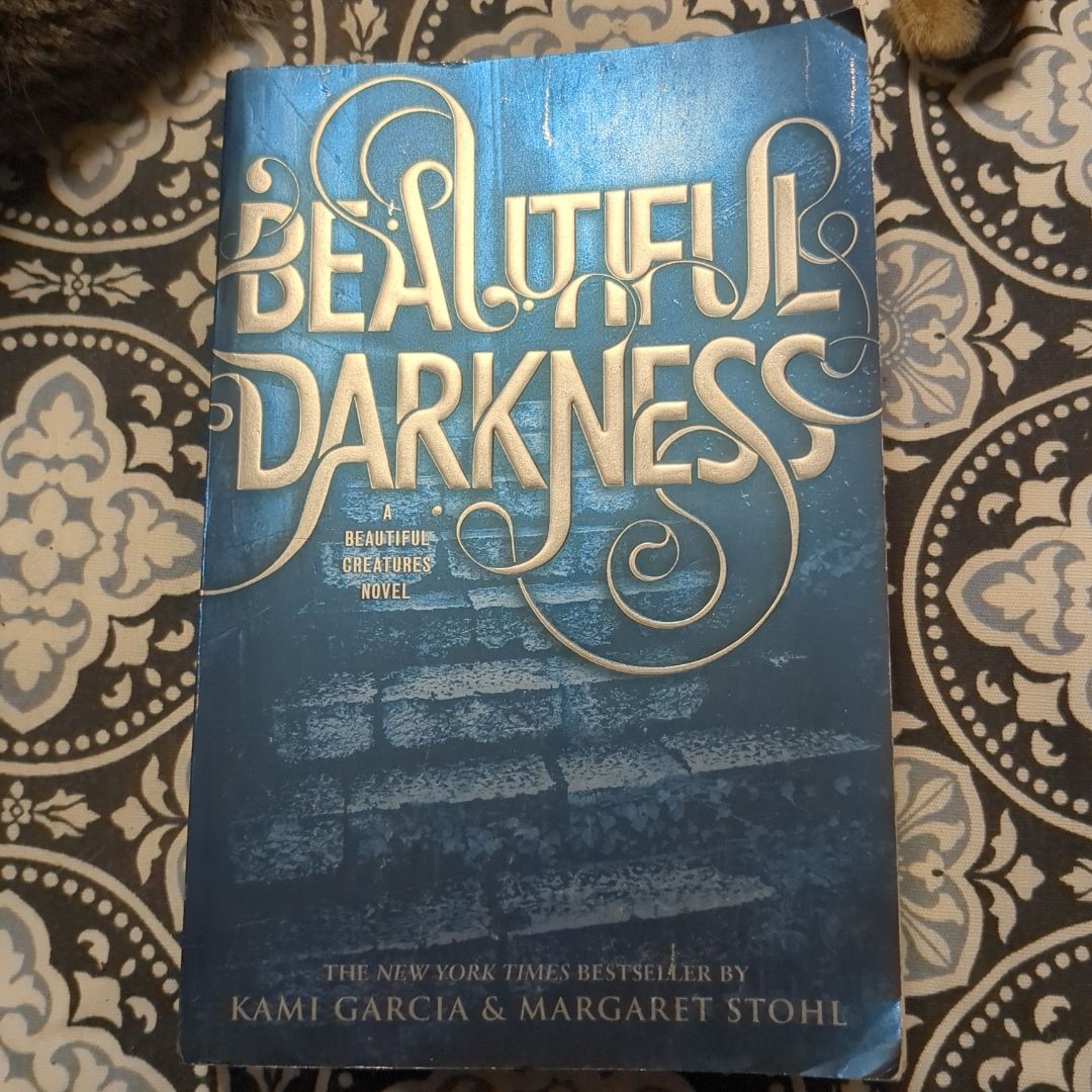 Beautiful Darkness