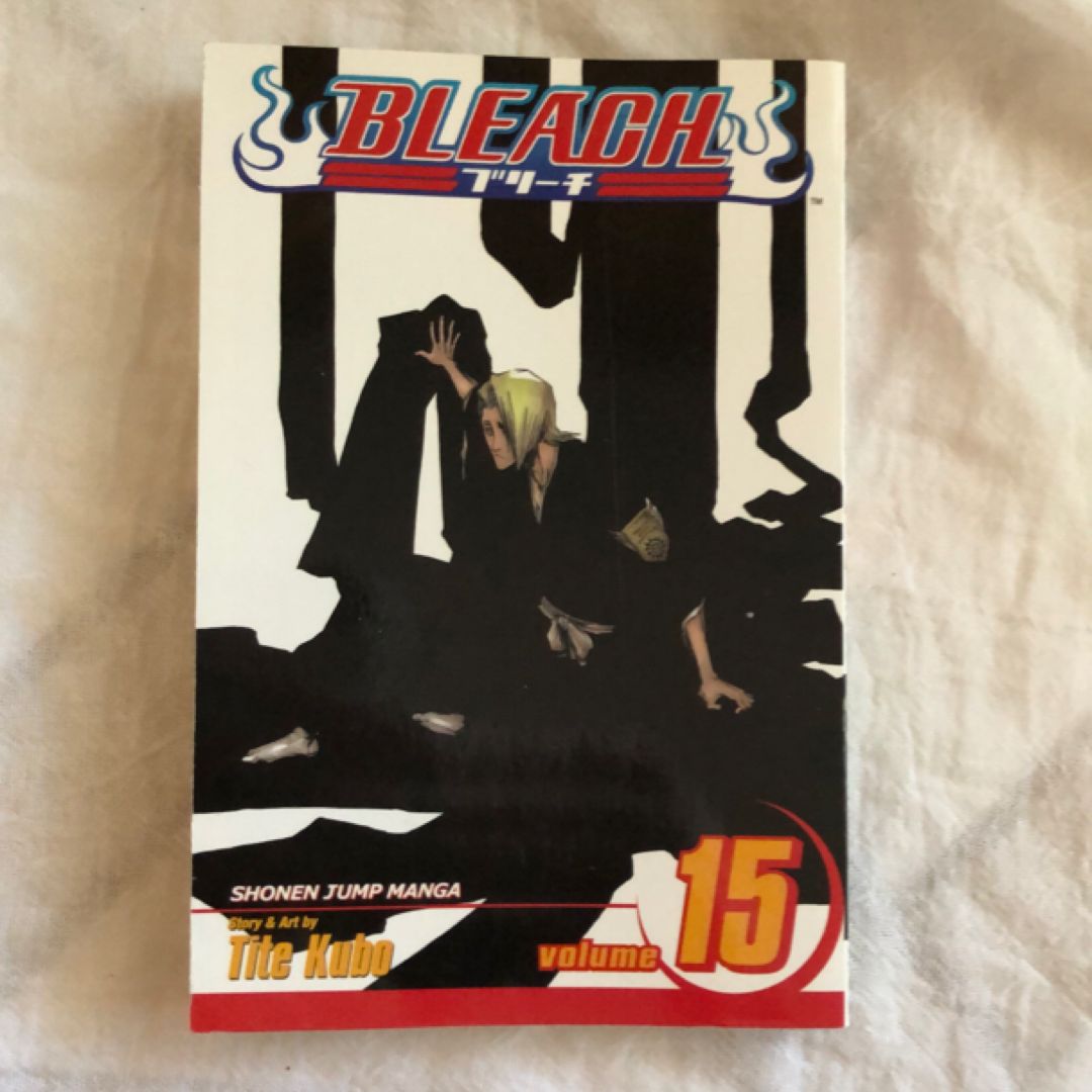 Bleach, Vol. 15