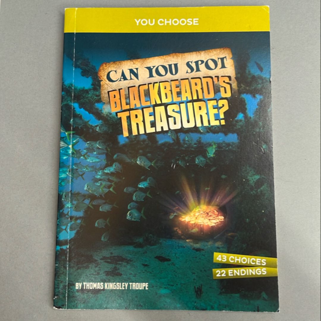 Can You Spot Blackbeard's Treasure?