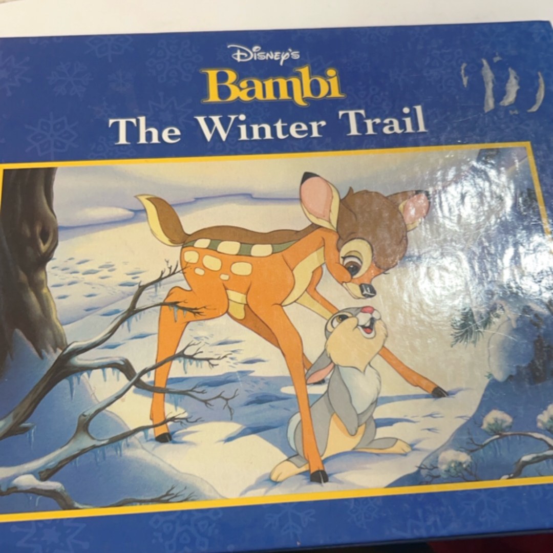 Winter Trail Shimmer