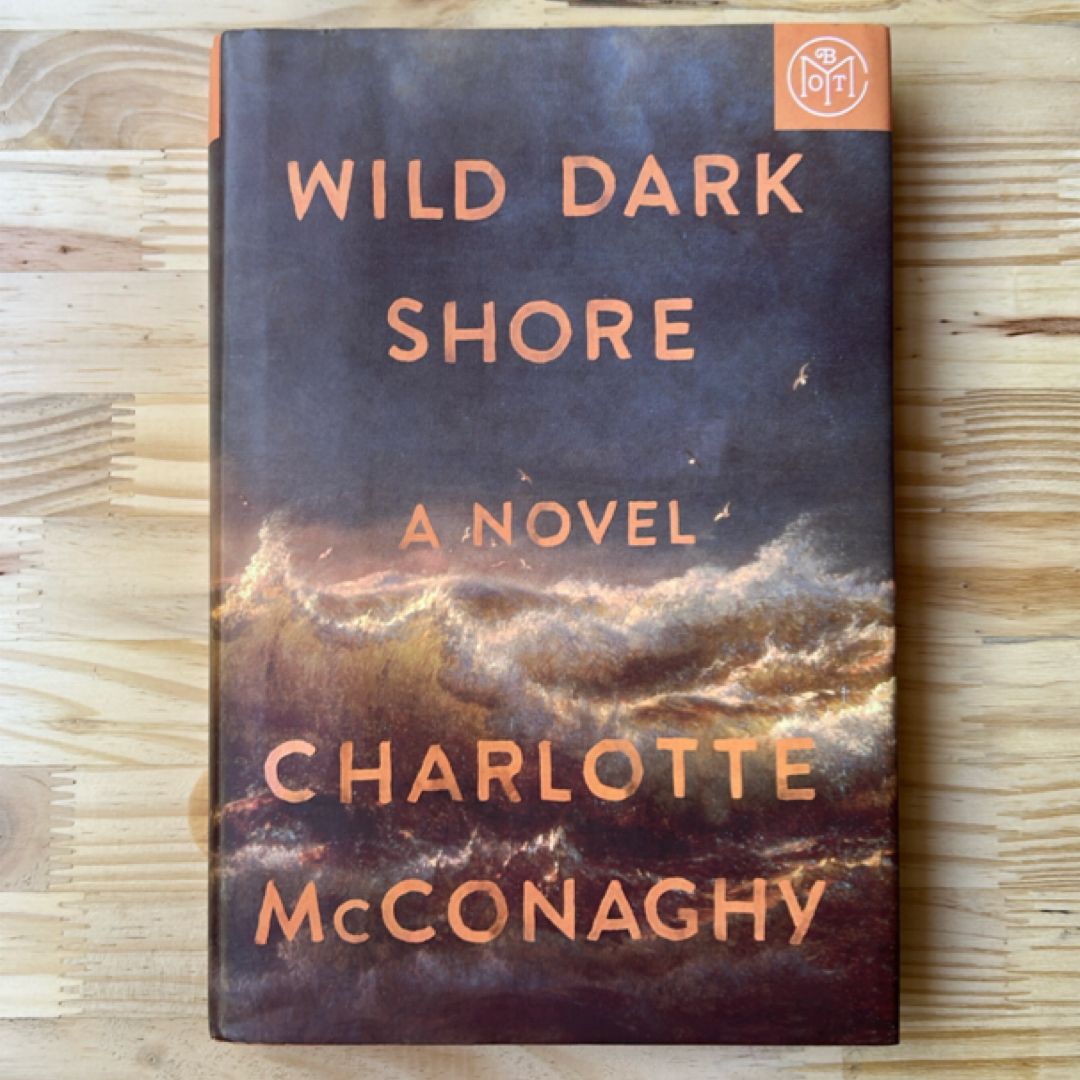 Wild Dark Shore