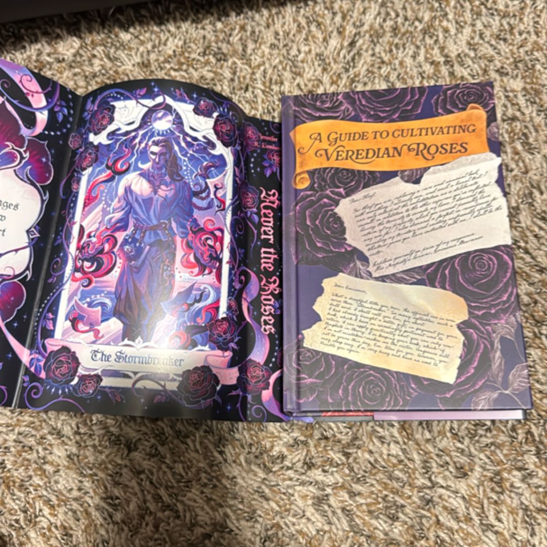 Never The Rises by Jennifer K. Lambert, | PangoBooks