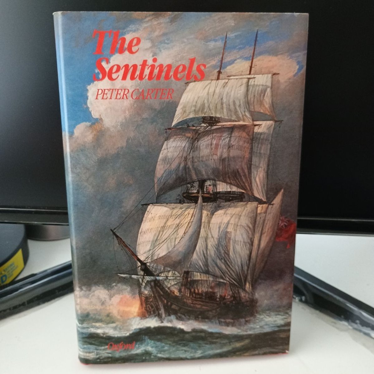 Sentinels by Peter Carter