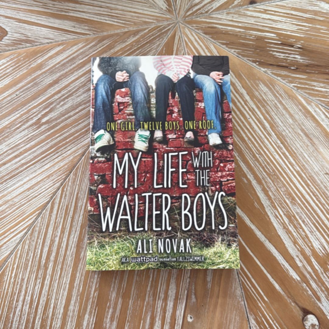 My Life with the Walter Boys