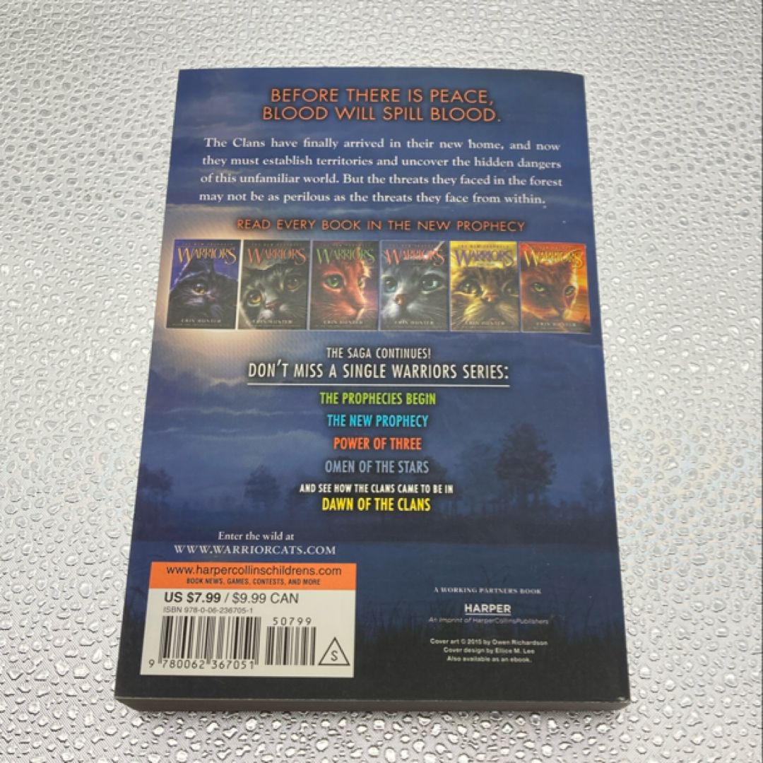 Warriors: the New Prophecy #4: Starlight