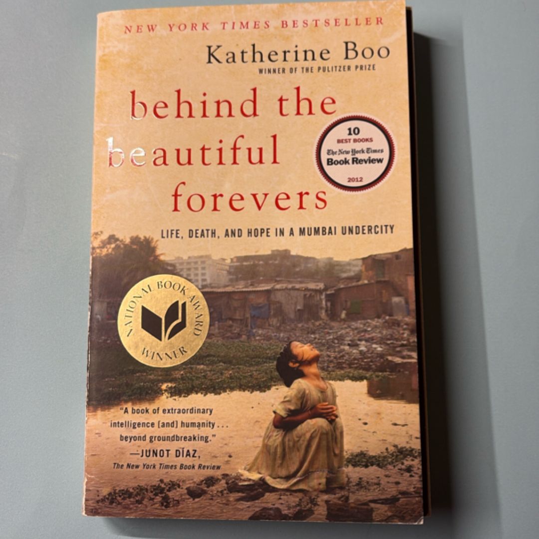 Behind the Beautiful Forevers
