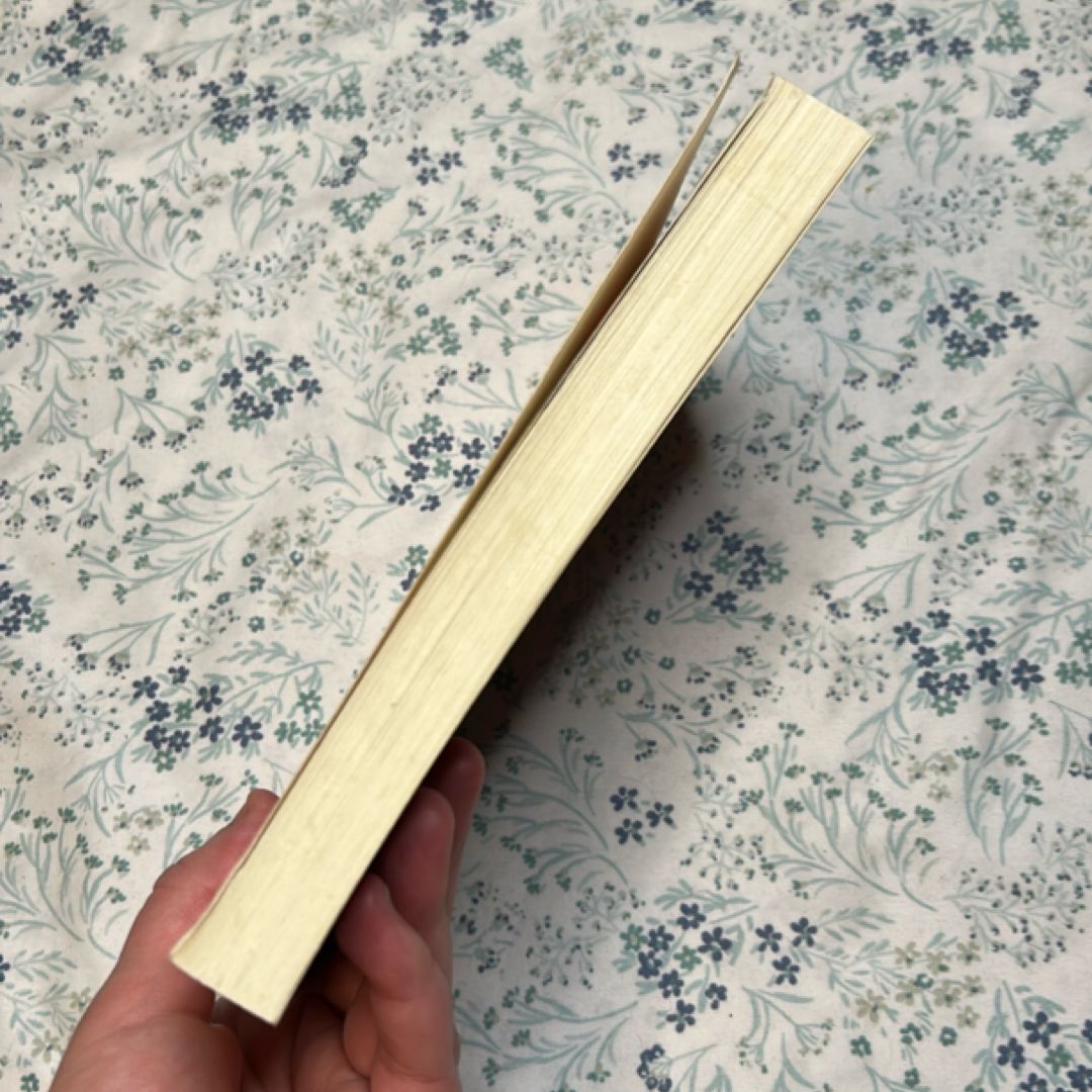 Marabou Stork Nightmares