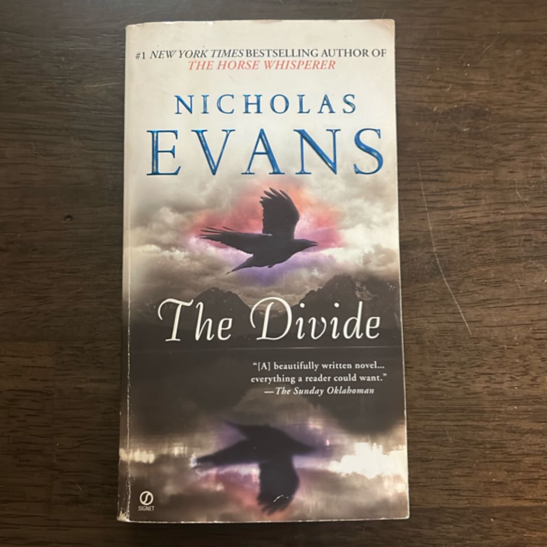 The Divide