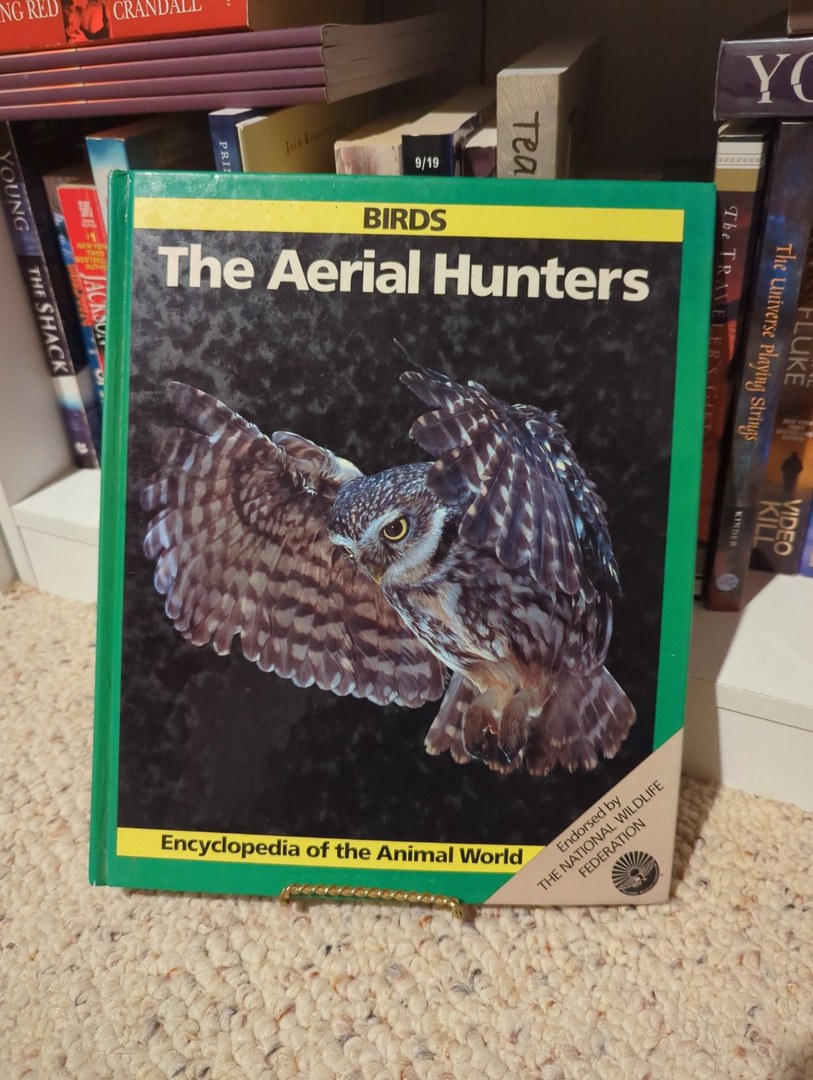 Aerial Hunters Birds