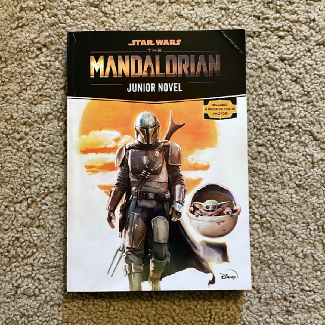Star Wars: the Mandalorian Junior Novel