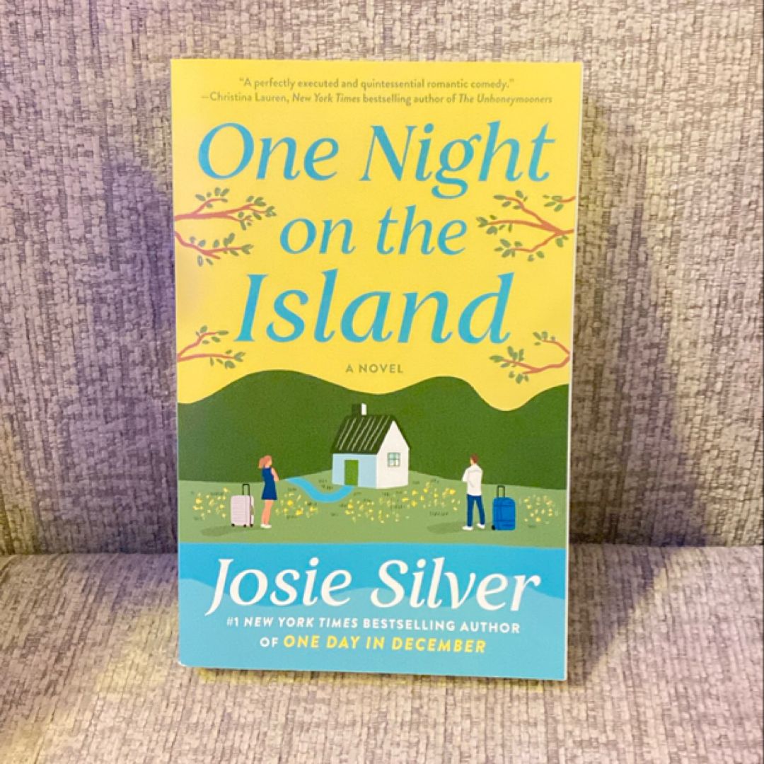 One Night on the Island