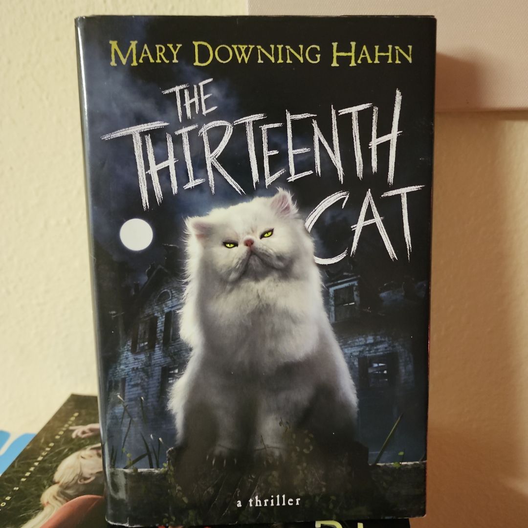 The Thirteenth Cat