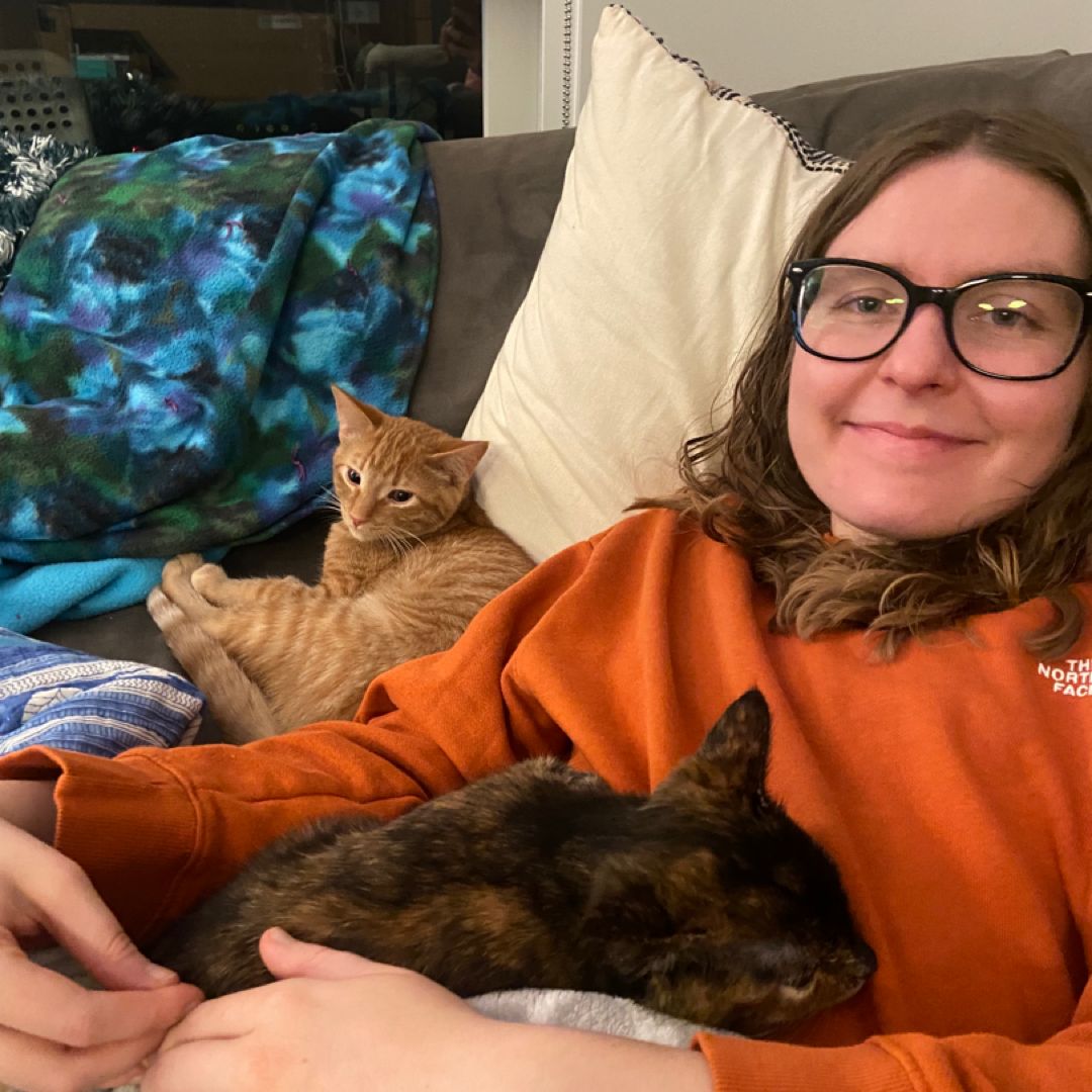 An English Degree Hotter