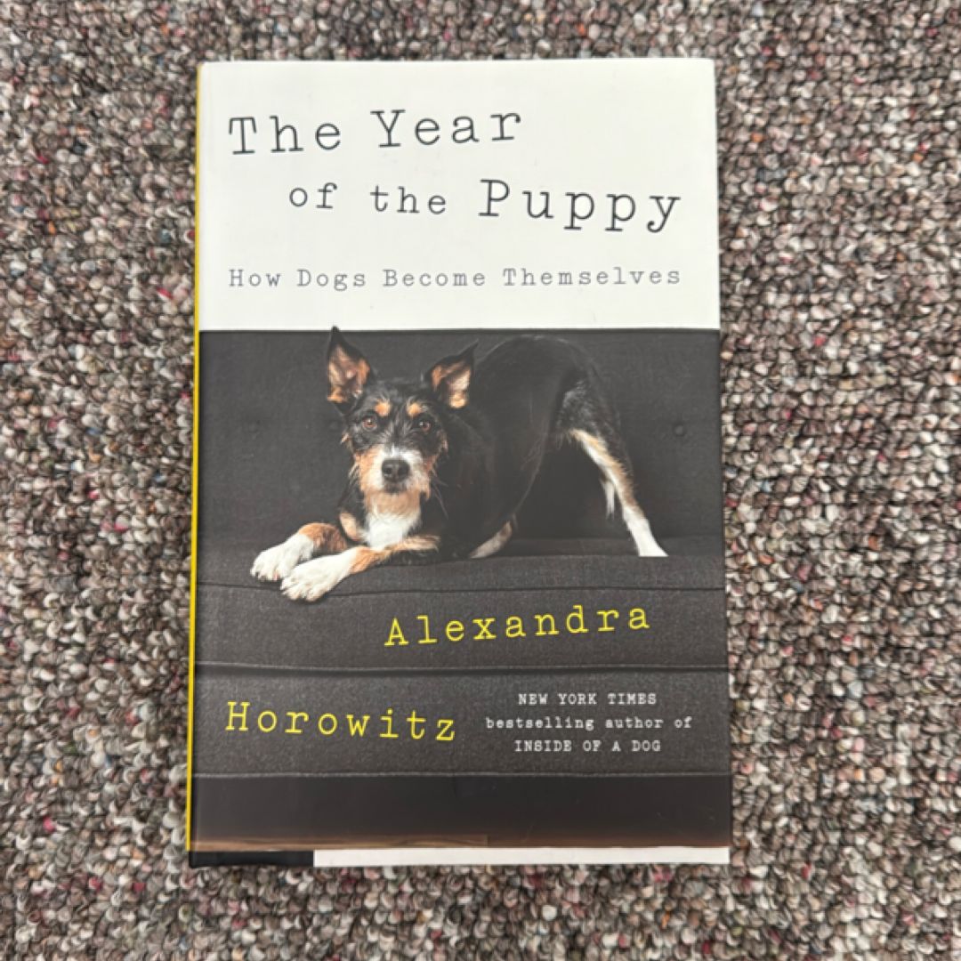 The Year of the Puppy