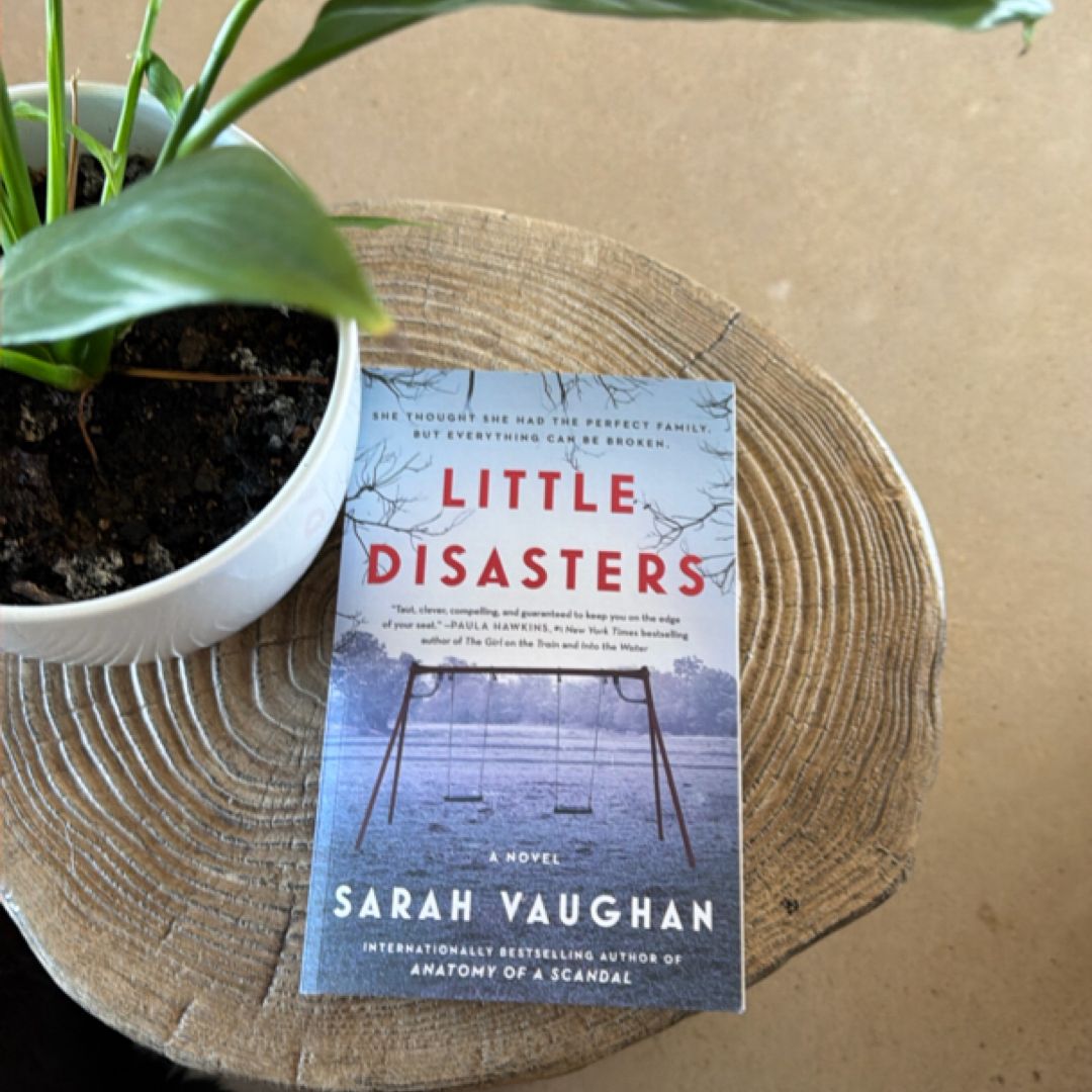Little Disasters