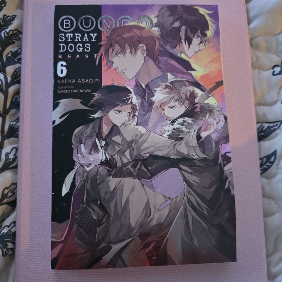 Bungo Stray Dogs, Vol. 6 (light Novel)