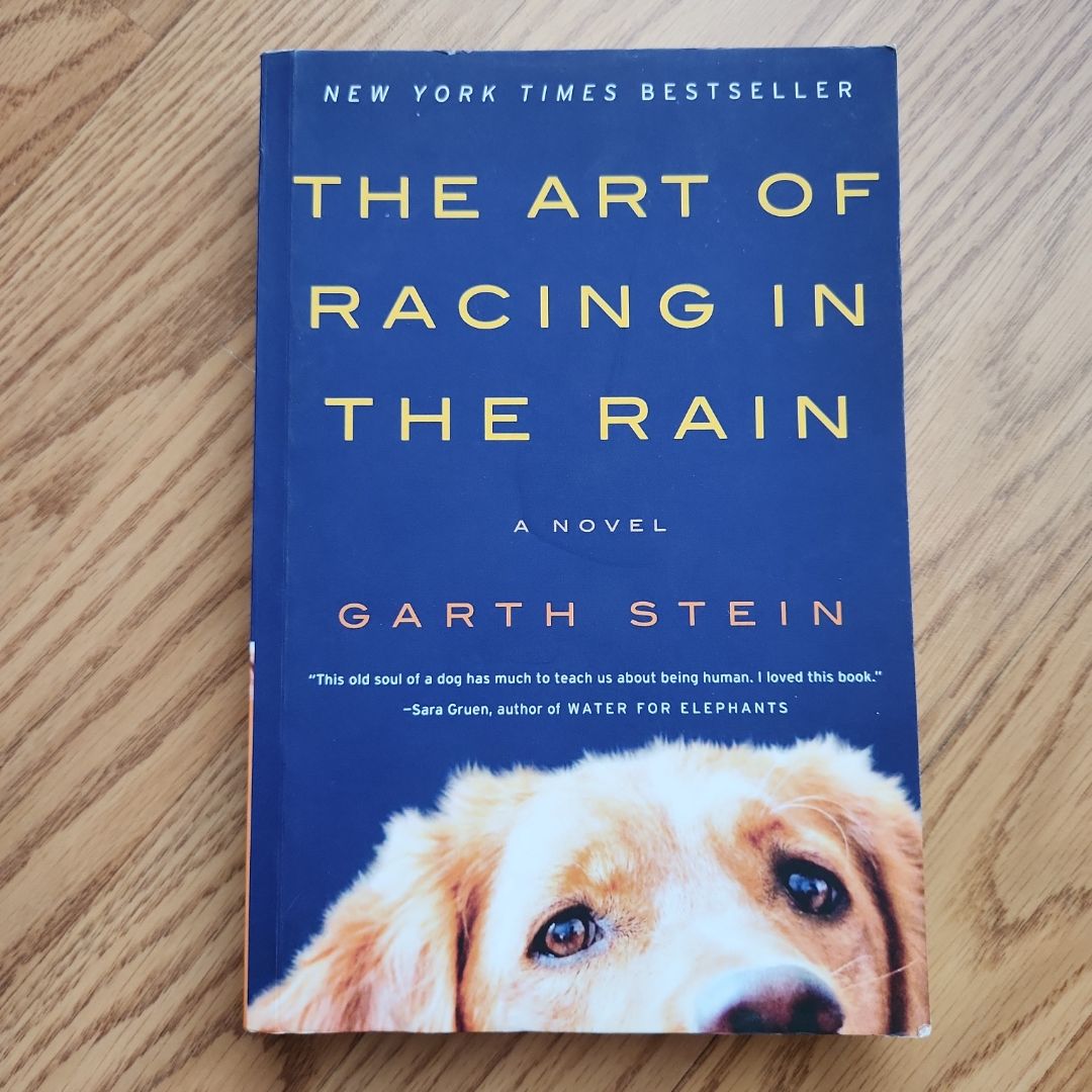 The Art of Racing in the Rain