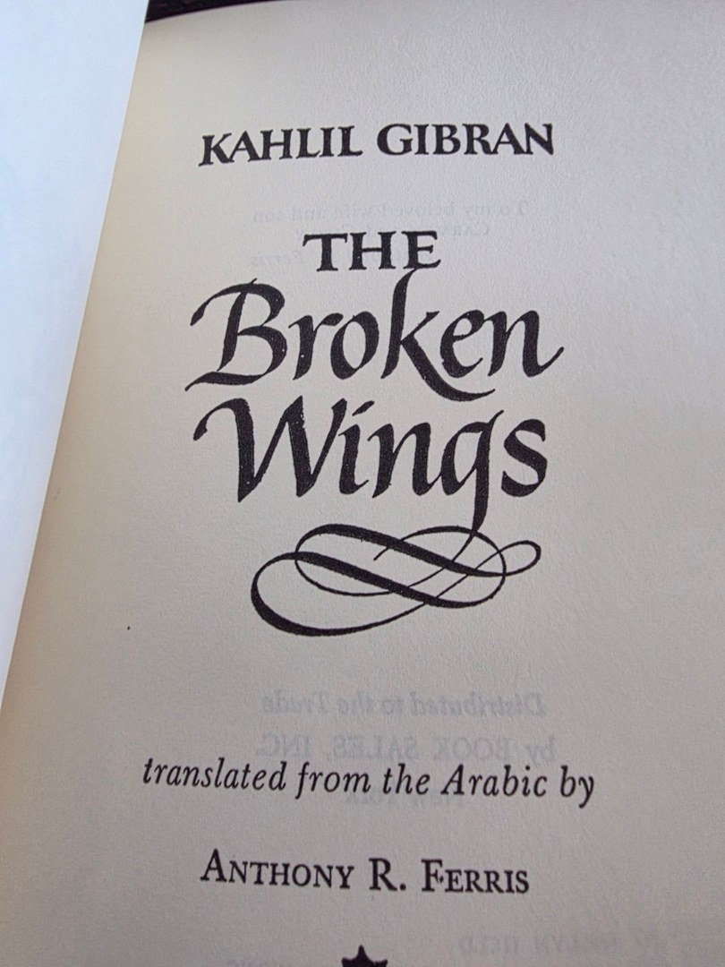 The Broken Wings 