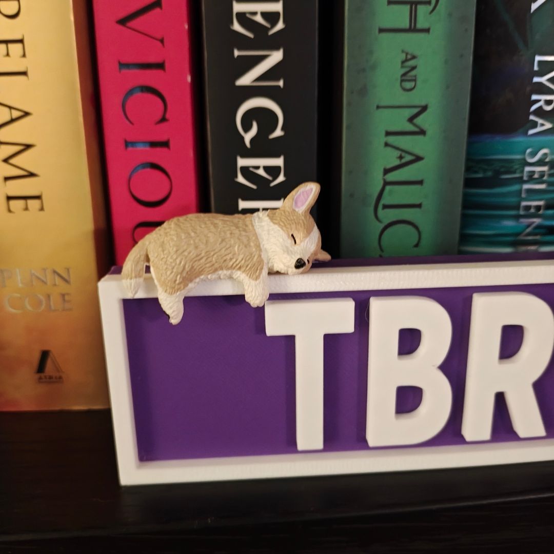 BonesAndBooks