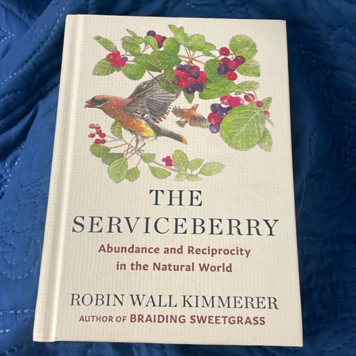 The Serviceberry by Robin Wall Kimmerer, | PangoBooks