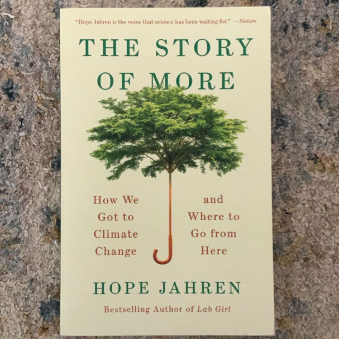 The Story of More