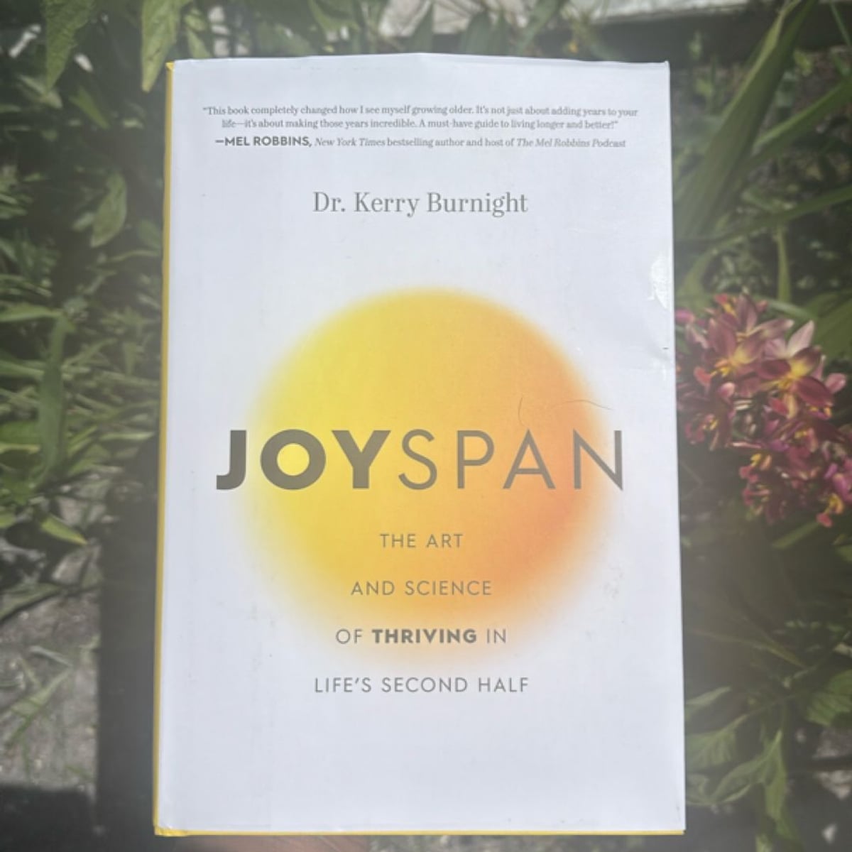 Joyspan by Kerry Burnight