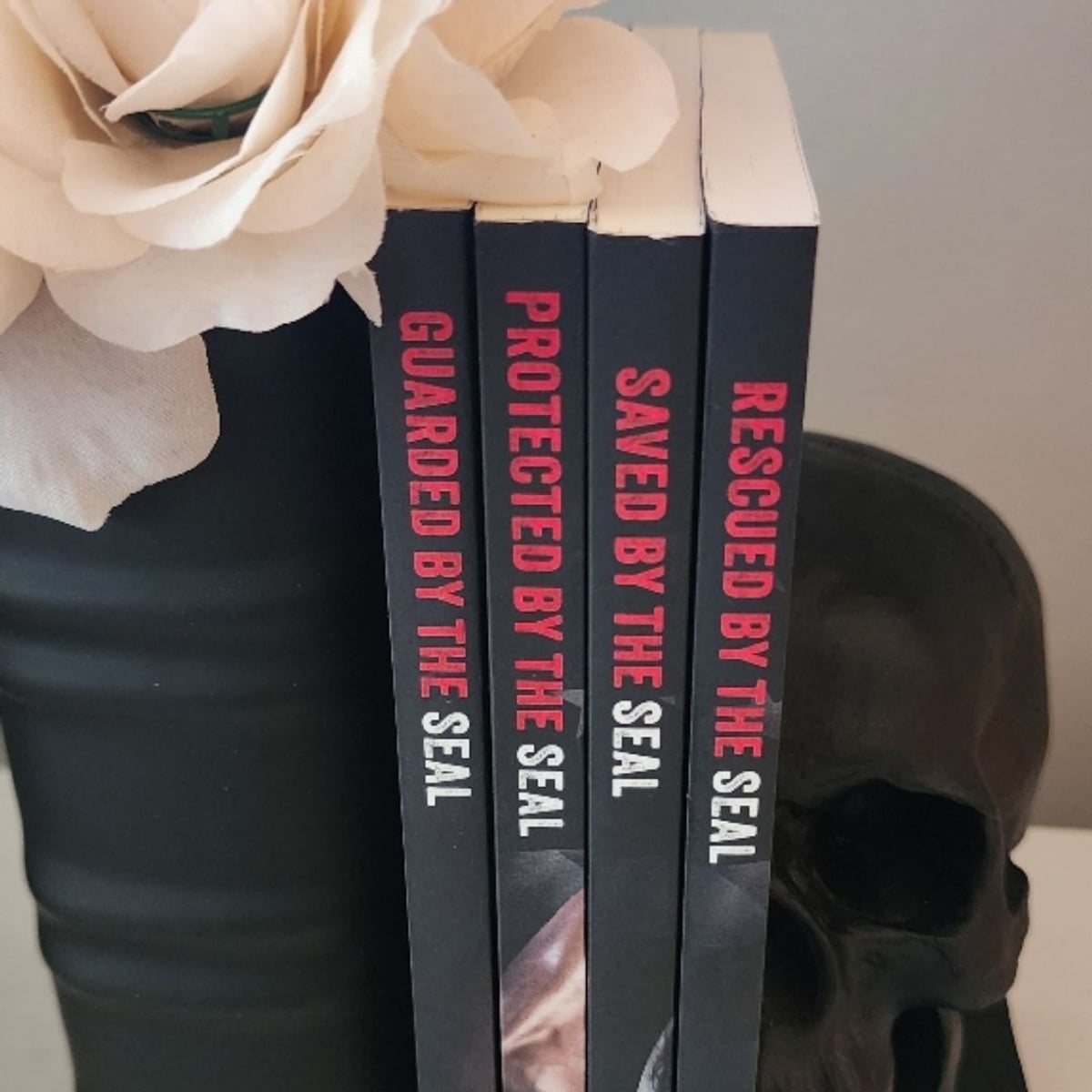 The Seal's Protection book series (4 books) by | PangoBooks