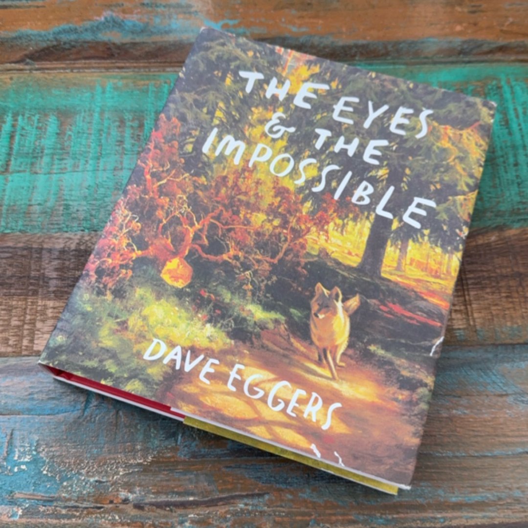 The Eyes and the Impossible