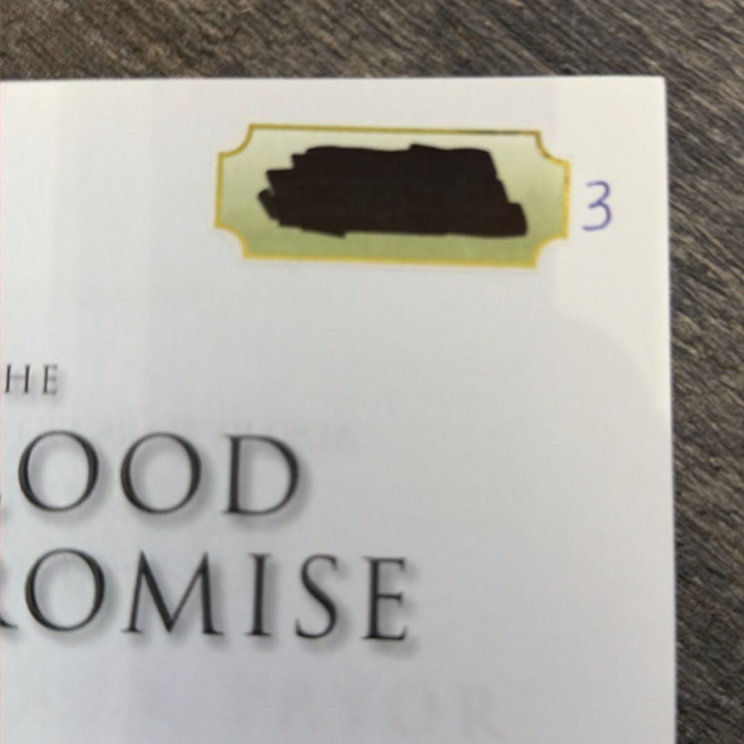 The Blood Promise
