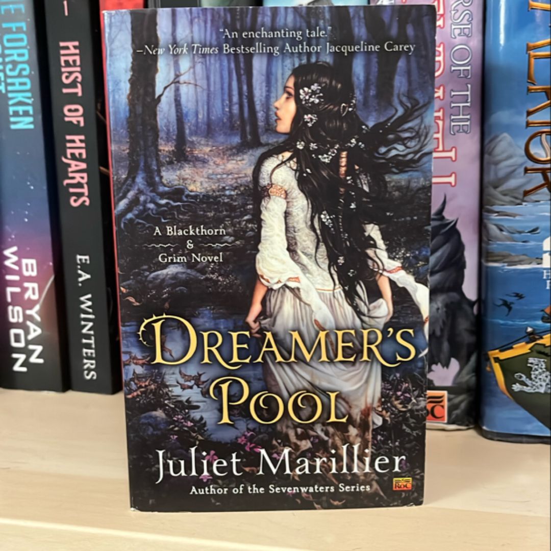 Dreamer's Pool