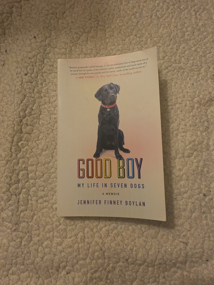 Good Boy