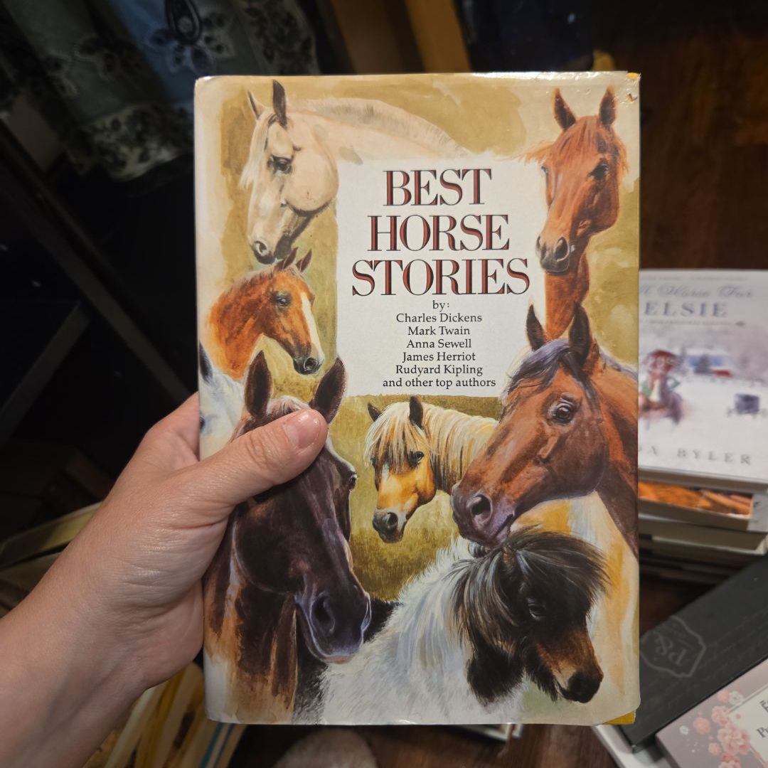 Best Horse Stories