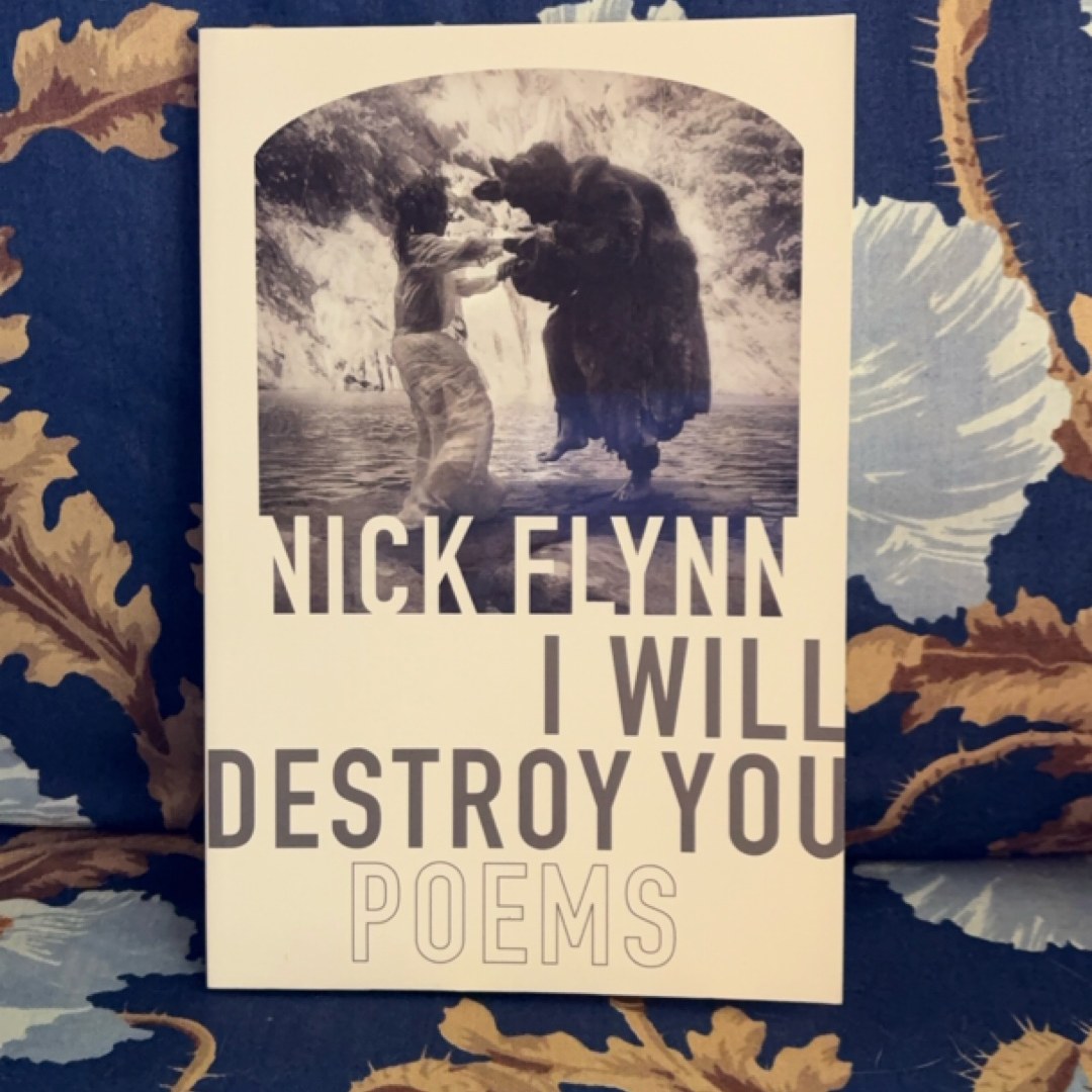 I Will Destroy You