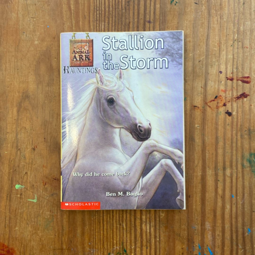 Stallion in the Storm