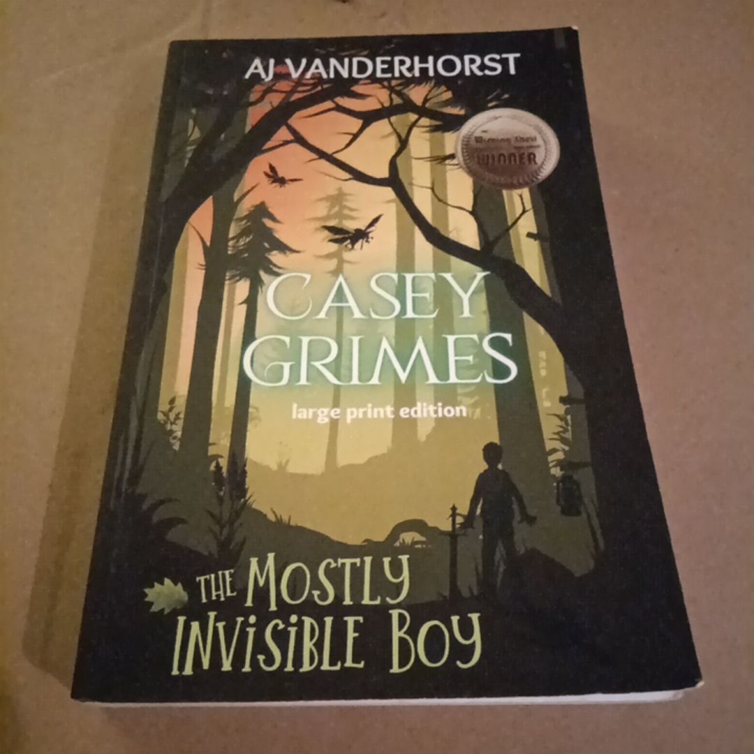 The Mostly Invisible Boy (Large Print)