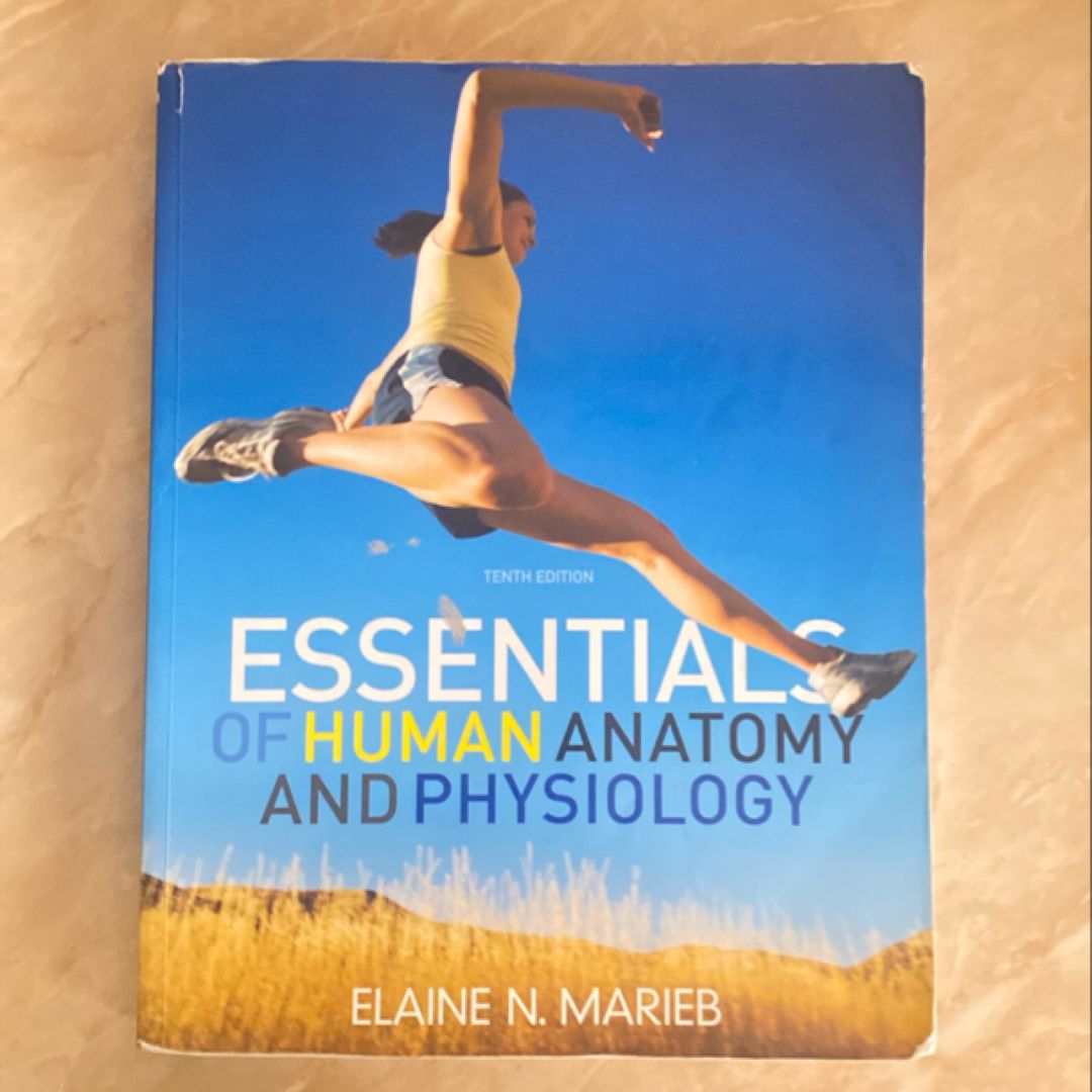 Essentials of Human Anatomy and Physiology