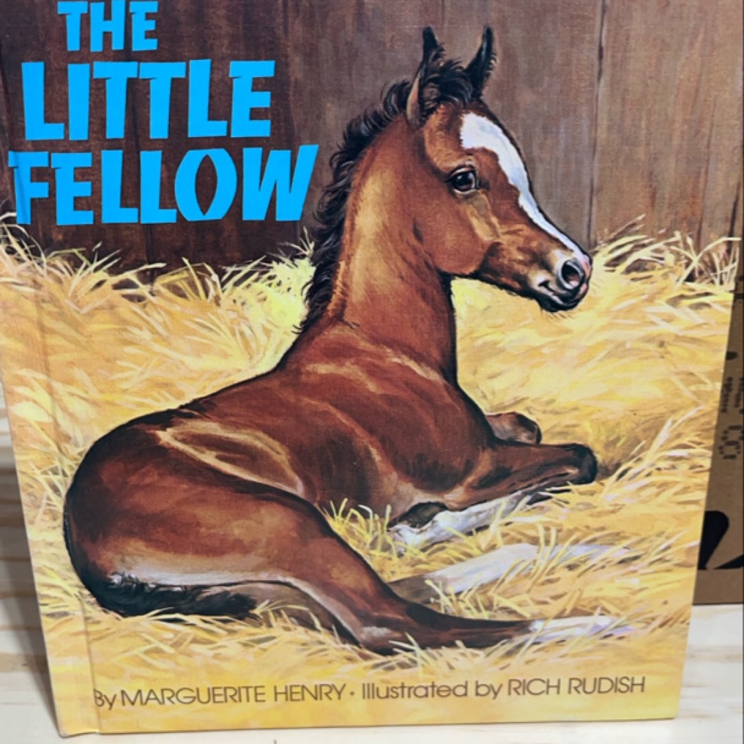 The Little Fellow
