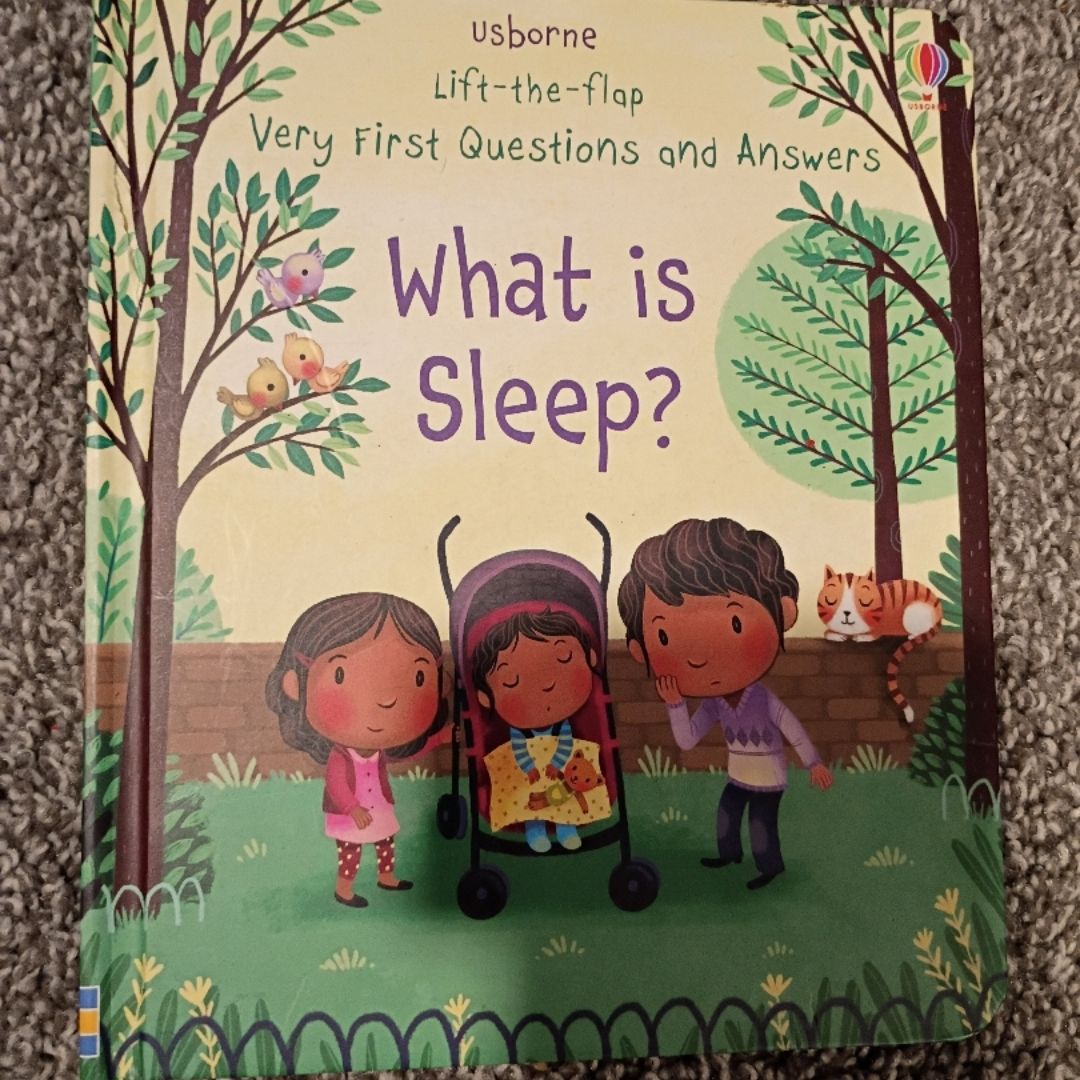 Lift-The-Flap Very First Questions and Answers What Is Sleep?