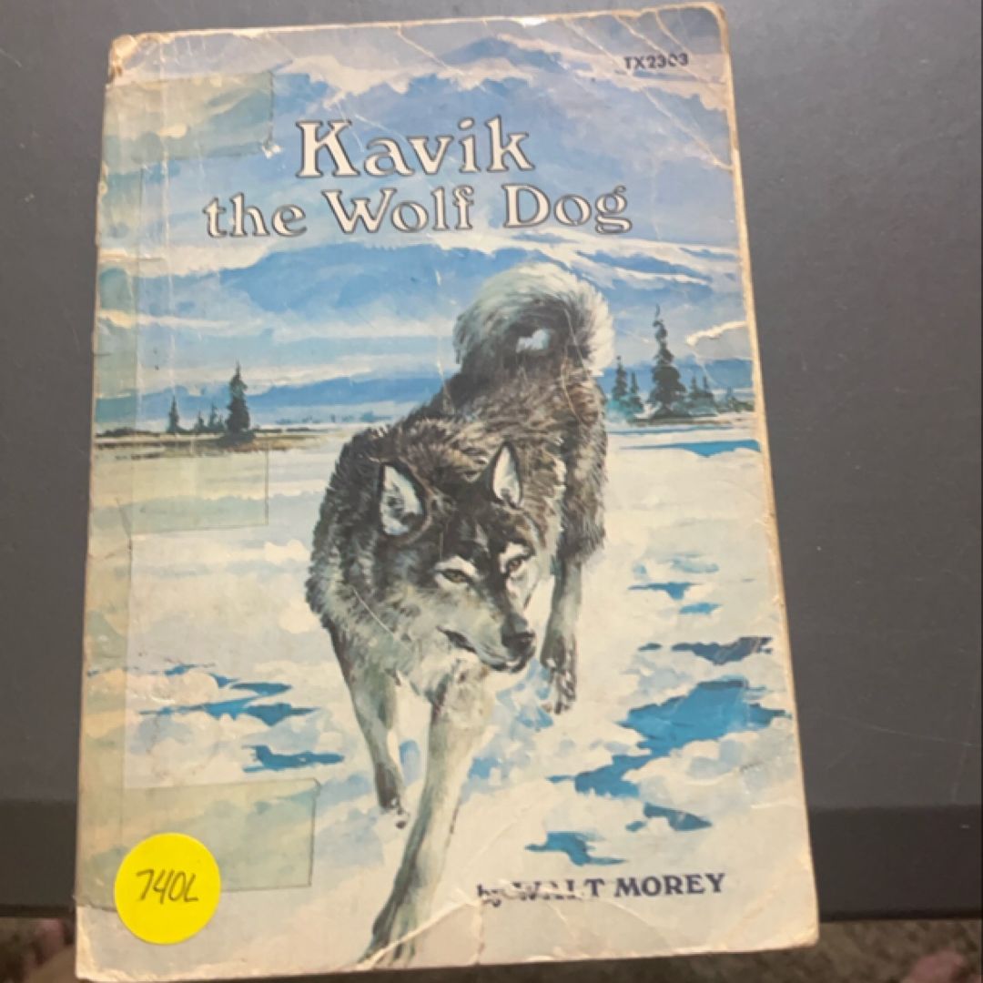 Kavik the Wolf Dog