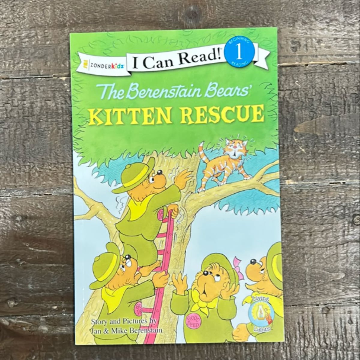 Kitten Rescue by Jan Berenstain, Mike Berenstain